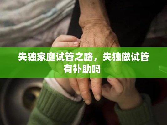 失独家庭试管之路，失独做试管有补助吗 