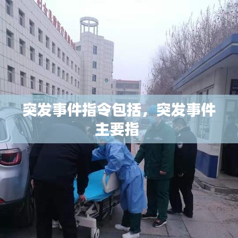 突发事件指令包括，突发事件主要指 
