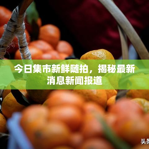 今日集市新鲜随拍，揭秘最新消息新闻报道