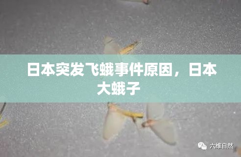 日本突发飞蛾事件原因，日本大蛾子 