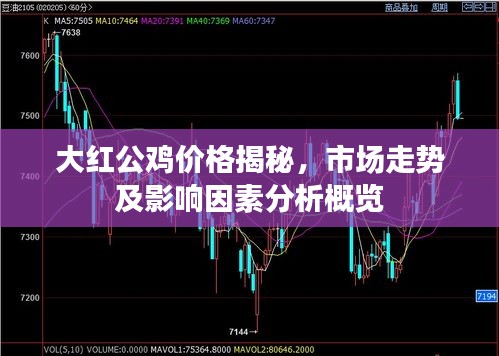 大红公鸡价格揭秘，市场走势及影响因素分析概览