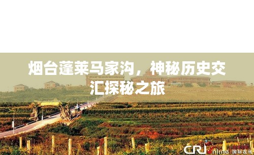 烟台蓬莱马家沟，神秘历史交汇探秘之旅