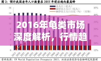 2016年龟类市场深度解析，行情趋势与机遇挑战并存