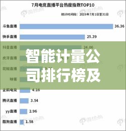 智能计量公司排行榜及行业影响力解析