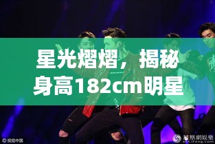 星光熠熠，揭秘身高182cm明星的魅力时刻