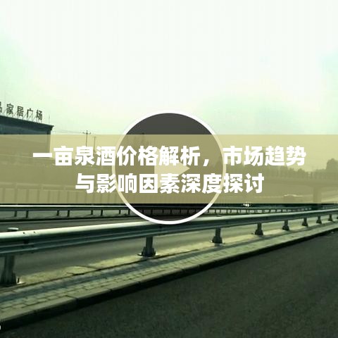 一亩泉酒价格解析，市场趋势与影响因素深度探讨