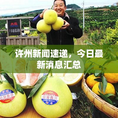 许州新闻速递，今日最新消息汇总