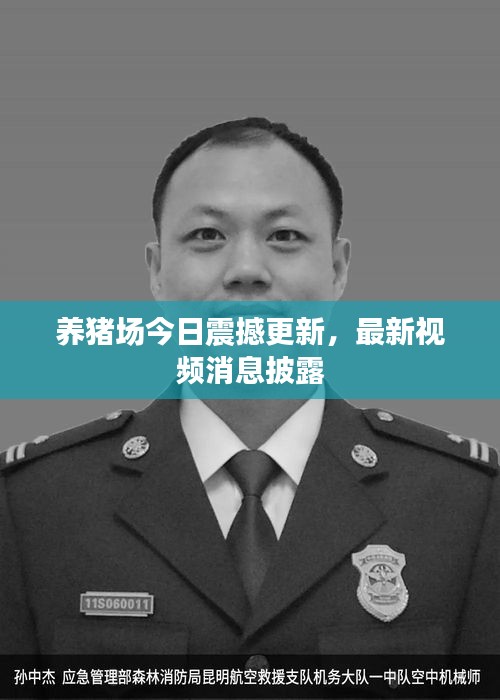 养猪场今日震撼更新，最新视频消息披露