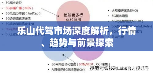 乐山代驾市场深度解析，行情、趋势与前景探索