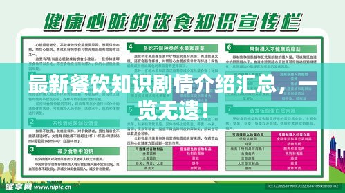 最新餐饮知识剧情介绍汇总，一览无遗！