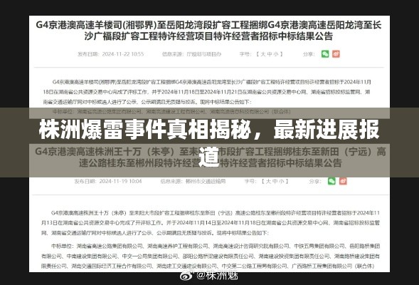 株洲爆雷事件真相揭秘，最新进展报道