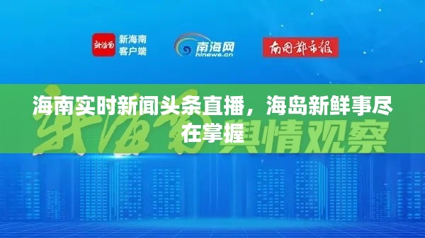海南实时新闻头条直播，海岛新鲜事尽在掌握