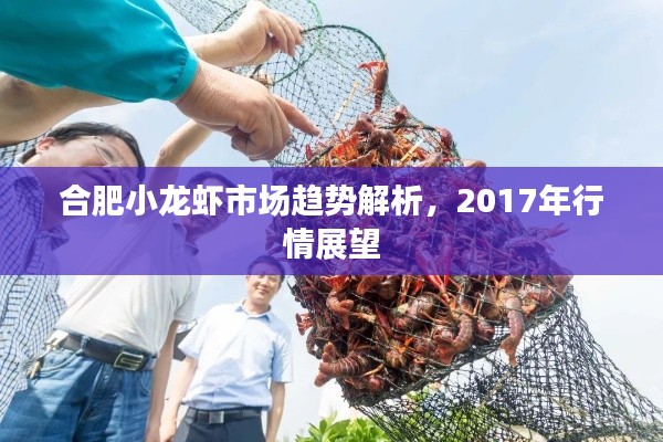 飞奇钩货 第2页